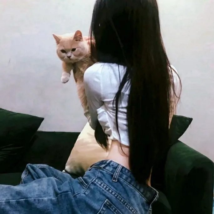 疯狂的卡波事件